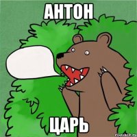 Антон Царь