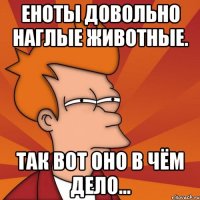 Еноты довольно наглые животные. так вот оно в чём дело...