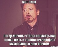 Мое лицо Когда укропы чтобы показать как плохо жить в России сравнивают Мухосранск с Нью Йорком.