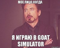 мое лицо,когда я играю в goat simulator