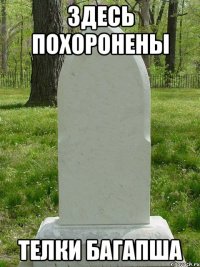 Здесь похоронены телки багапша