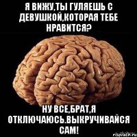 Я вижу,ты гуляешь с девушкой,которая тебе нравится? Ну все,брат,я отключаюсь.Выкручивайся сам!