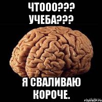 Чтооо??? Учеба??? Я сваливаю короче.