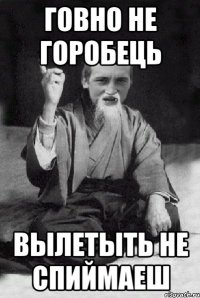 Говно не горобець вылетыть не спиймаеш