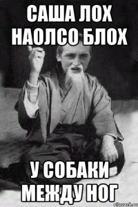 Саша лох наолсо блох у собаки между ног