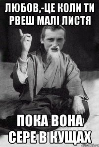 Любов,-це коли ти рвеш малі листя Пока вона сере в кущах