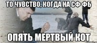 то чувство, когда на сф фб опять мертвый кот