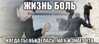 ЖИЗНЬ БОЛЬ КОГДА ТЫ ОБИДЕЛАСЬ , НА Х*Й ЗНАЕТ ЧТО