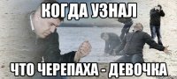 Когда узнал что черепаха - девочка