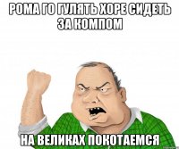Рома го гулять хоре сидеть за компом на великах покотаемся
