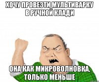 Хочу провезти мультиварку в ручной клади Она как микроволновка, только меньше