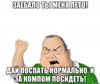 Заебало ты меня лето! Дай поспать нормально, и за компом посидеть!