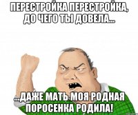 ПЕРЕСТРОЙКА ПЕРЕСТРОЙКА, ДО ЧЕГО ТЫ ДОВЕЛА... ...ДАЖЕ МАТЬ МОЯ РОДНАЯ ПОРОСЕНКА РОДИЛА!
