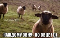  Каждому Овну - по овце ! )))