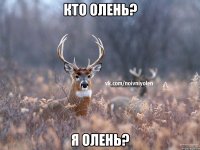 Кто Олень? Я Олень?