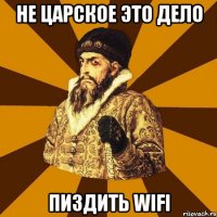 Не царское это дело Пиздить WIFI