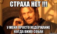 Страха нет !!! У меня просто недержание когда вижу собак