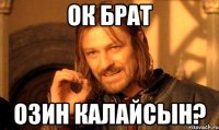 Ок брат Озин калайсын?