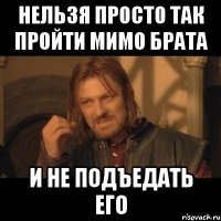 Нельзя просто так пройти мимо брата И не подъедать его