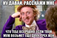 НУ ДАВАЙ, РАССКАЖИ МНЕ ЧТО ТЕБЕ ВСЕ РАВНО, ЕСЛИ ТВОЙ МУЖ ВОЗЬМЕТ ЕЩЕ ДВУХ, ТРЕХ ЖЕН