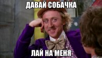 Давай собачка Лай на меня