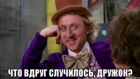  что вдруг случилось, дружок?