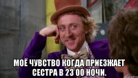  Моё чувство когда приезжает сестра в 23 00 ночи.