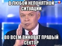 в любой непонятной ситуации во всем виноват правый сектор