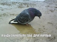 Я буду скучать по тебе, друг Курлык.