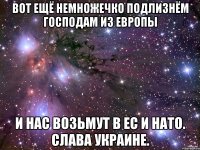 Вот ещё немножечко подлизнём господам из европы и нас возьмут в ЕС и НАТО. Слава Украине.