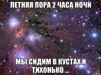 летняя пора 2 часа ночи мы сидим в кустах и тихонько ...