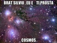 Brat Silviu , eu ești prosta Cosmos