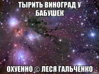 ТЫРИТЬ ВИНОГРАД У БАБУШЕК ОХУЕННО © леся гальченко