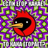 если егор какает то кака егорает?