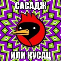 Сасадж или кусац