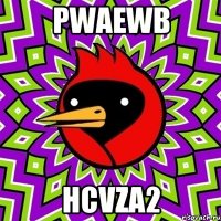 pwaEWB hCvza2