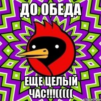 до обеда еще целый час!!!(((((