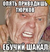 опять приводишь тюрков ебучий шакал