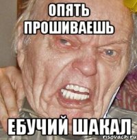ОПЯТЬ ПРОШИВАЕШЬ ЕБУЧИЙ ШАКАЛ