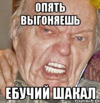 Опять выгоняешь ебучий шакал