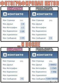 Фотографировал китов