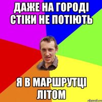 даже на городі стіки не потіють я в маршрутці літом