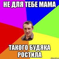 Не для тебе мама такого будяка ростила