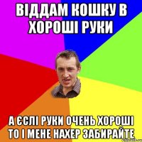 Віддам кошку в хороші руки а єслі руки очень хороші то і мене нахер забирайте