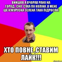 Вийшов я вчорав рано на город...Сніг сука по коліна ,в мене ше кукурузка зелена така підросла! Хто повне ,ставим лайк!!!