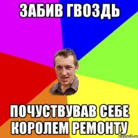 забив гвоздь почуствував себе королем ремонту