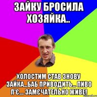 Зайку бросила хозяйка.. холостим став знову зайка...баб приводить... пиво п'є.... замєчательно живе!