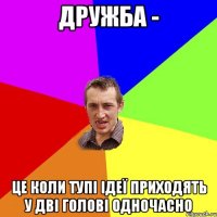 Дружба - це коли тупі ідеї приходять у дві голові одночасно
