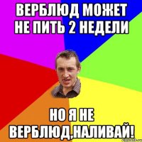 Верблюд может не пить 2 недели но я не верблюд,наливай!