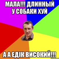 Мала!!! Длинный у собаки хуй А А Едік високий!!!